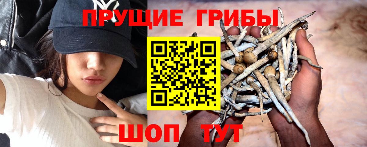 Обь  Псилоцибиновые грибы мицелий  Галлюциногенные грибы Magic Shrooms  Вход с VPN 